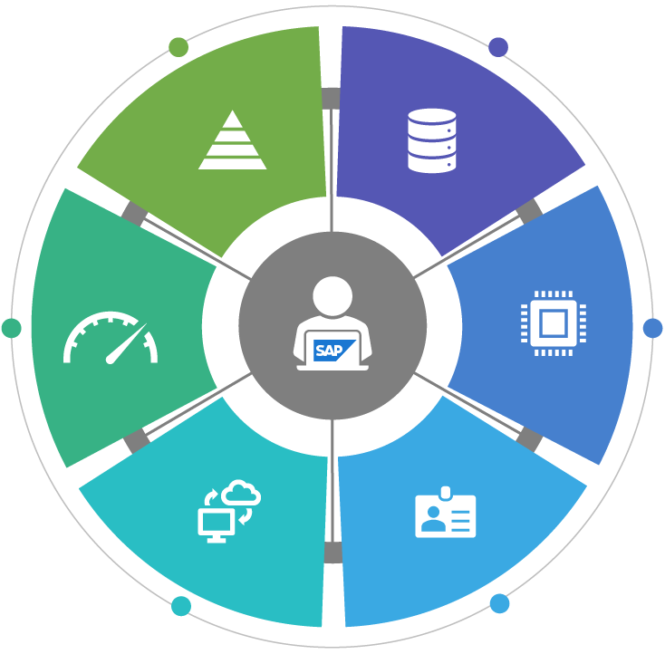 Achieve Secure SAP Landscape Through Unparalleled Administration and Governance-1