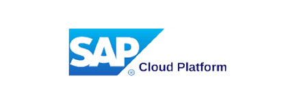 cloud-adoption-and-usage-01